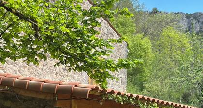 Tournemire Vine House