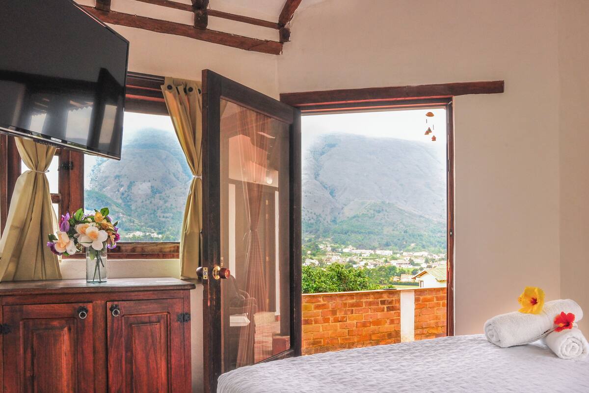 Une chambre à coucher avec un lit, une télévision, une commode, un vase de fleurs et une vue sur les montagnes.