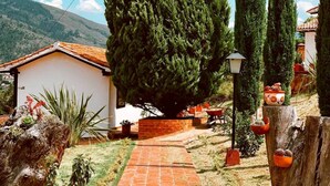 Una casa rústica con un camino de ladrillo que conduce a un edificio blanco, rodeada de altos cipreses y plantas en macetas.
