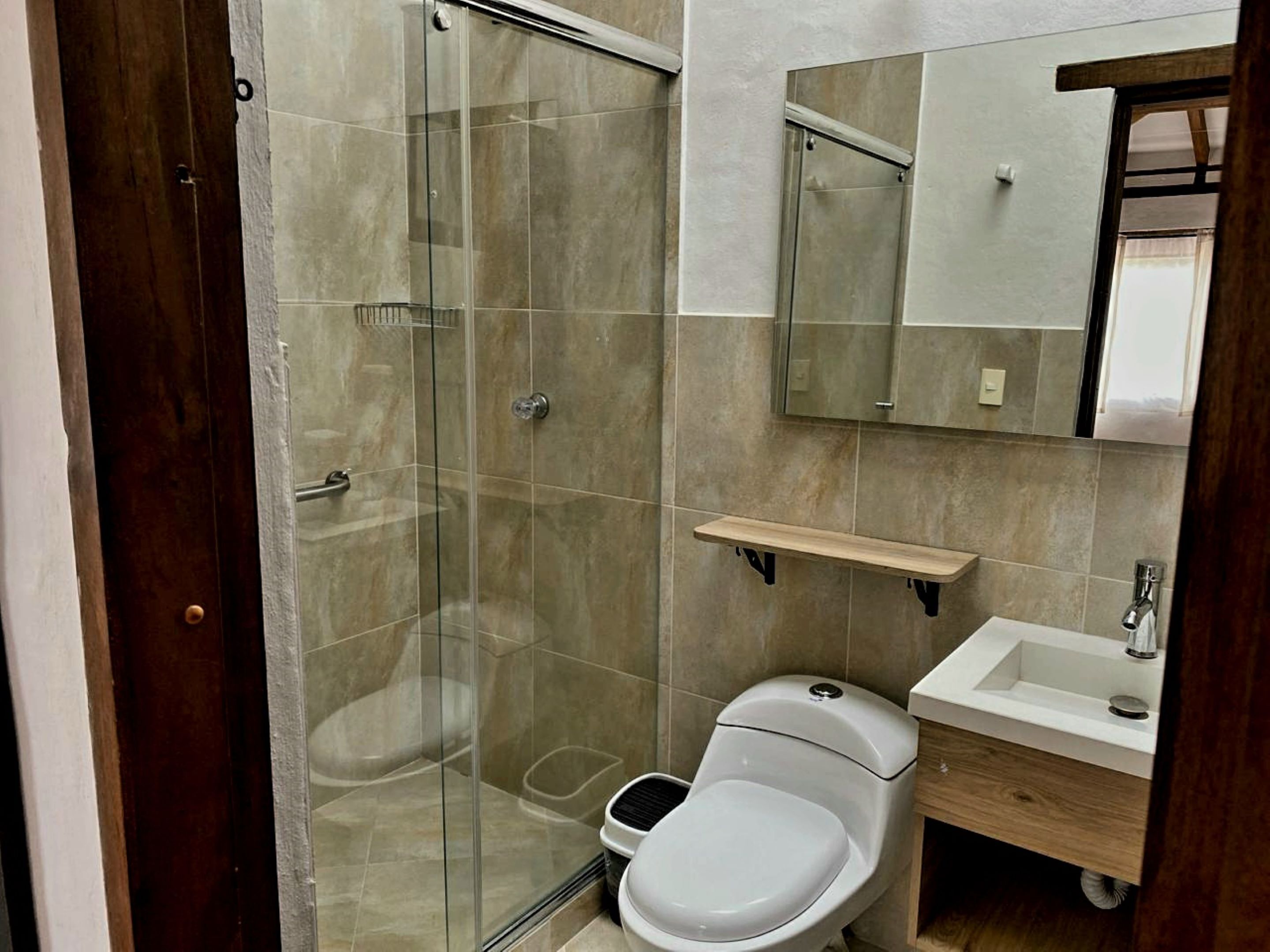 A bathroom with a glass shower enclosure, a toilet, a sink, and a mirror above the sink.