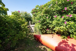 A canoe resting against a wooden fence in a garden with lush green foliage and pink flowers.