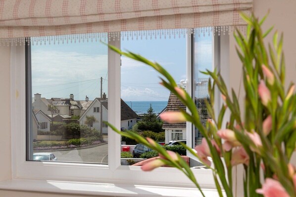 A window with a view of a residential street and a body of water.
