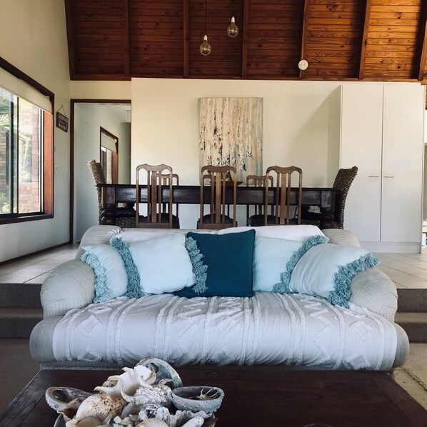 Smart TV, fireplace, books, music library