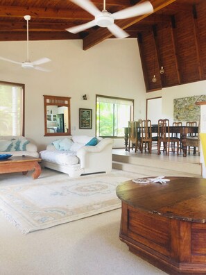 Smart TV, fireplace, books, music library