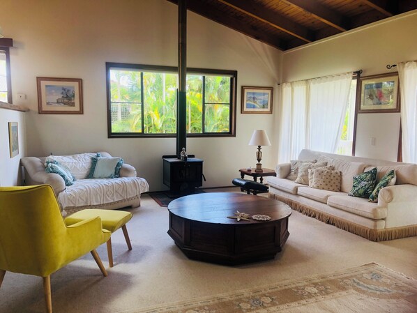 Smart TV, fireplace, books, music library