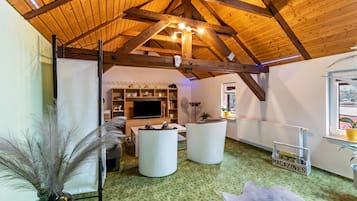 Fernseher, Stereoanlage