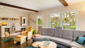 Fernseher, Kamin