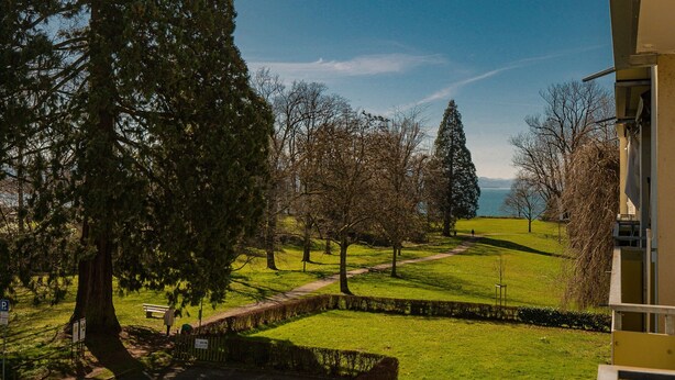 Un parc avec un sentier, des arbres et une vue sur une étendue d’eau.