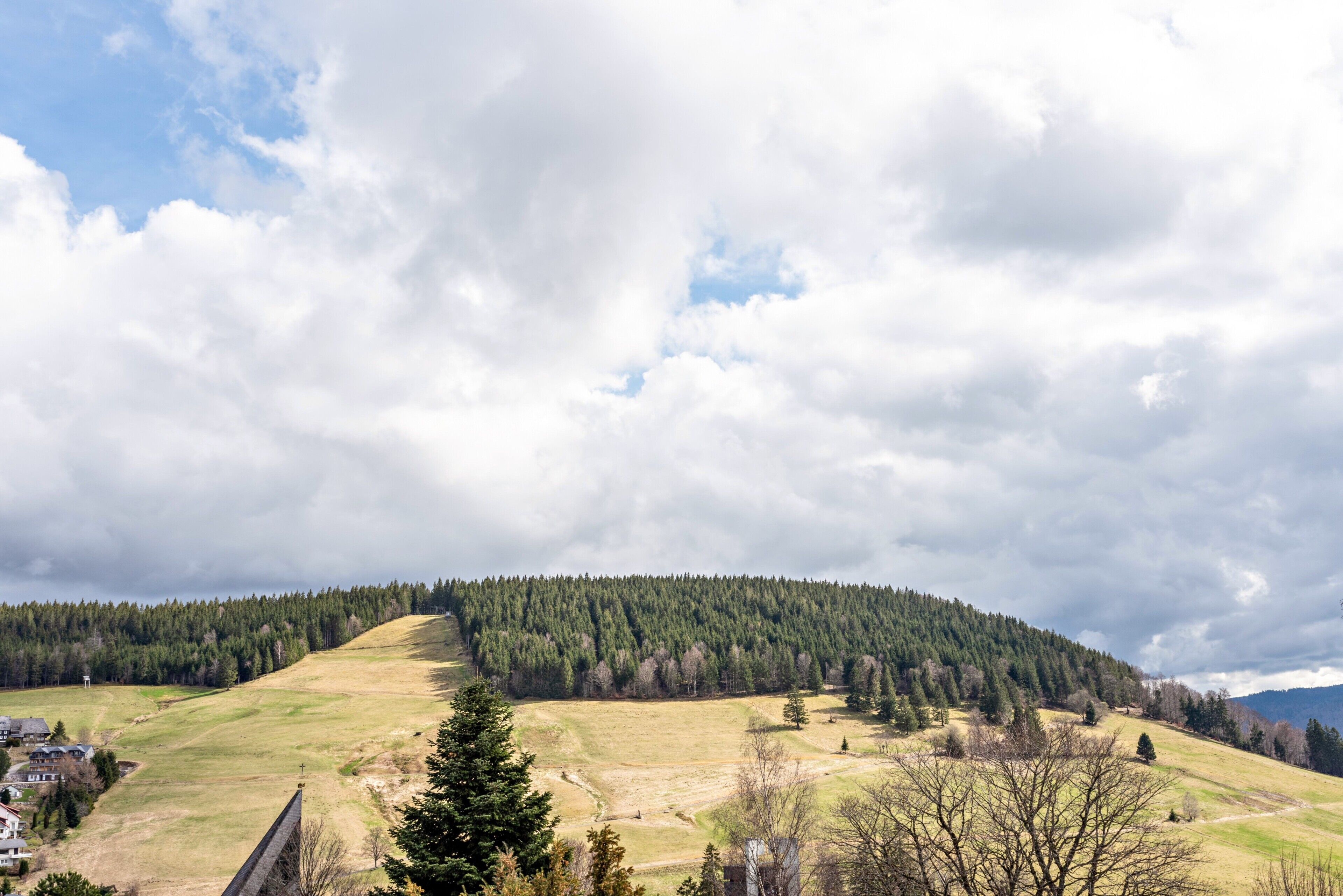 Un paysage rural avec une colline, des arbres et un ciel dégagé.