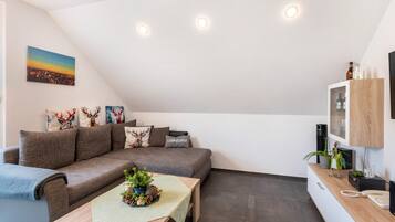 Fernseher, Stereoanlage