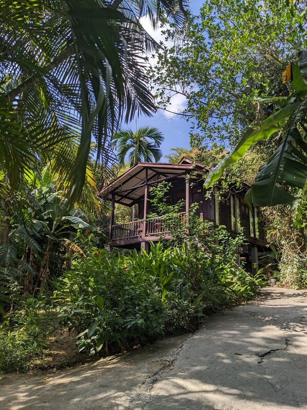 Front of property - Villa Sri Kampung  (Langkawi)