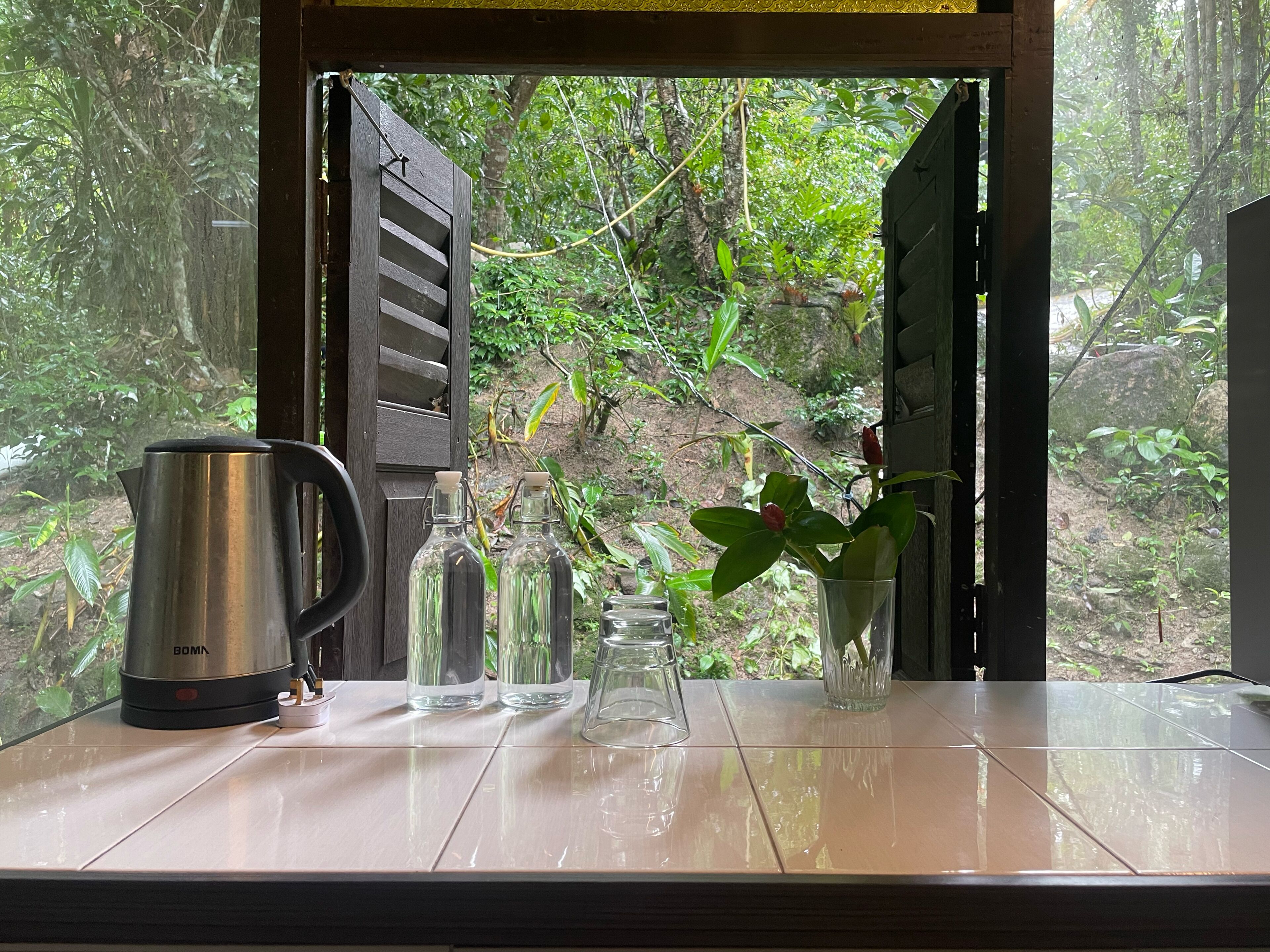 A kitchen counter with a coffee maker, glass bottles, and a potted plant.