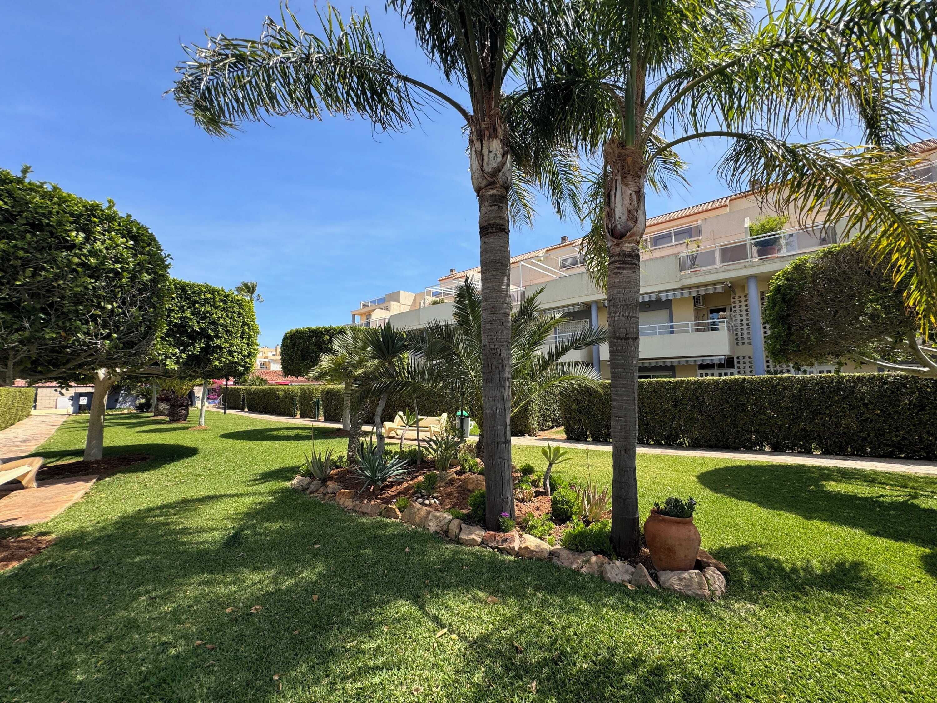 Un jardín bien cuidado con palmeras, setos y un cielo azul despejado.