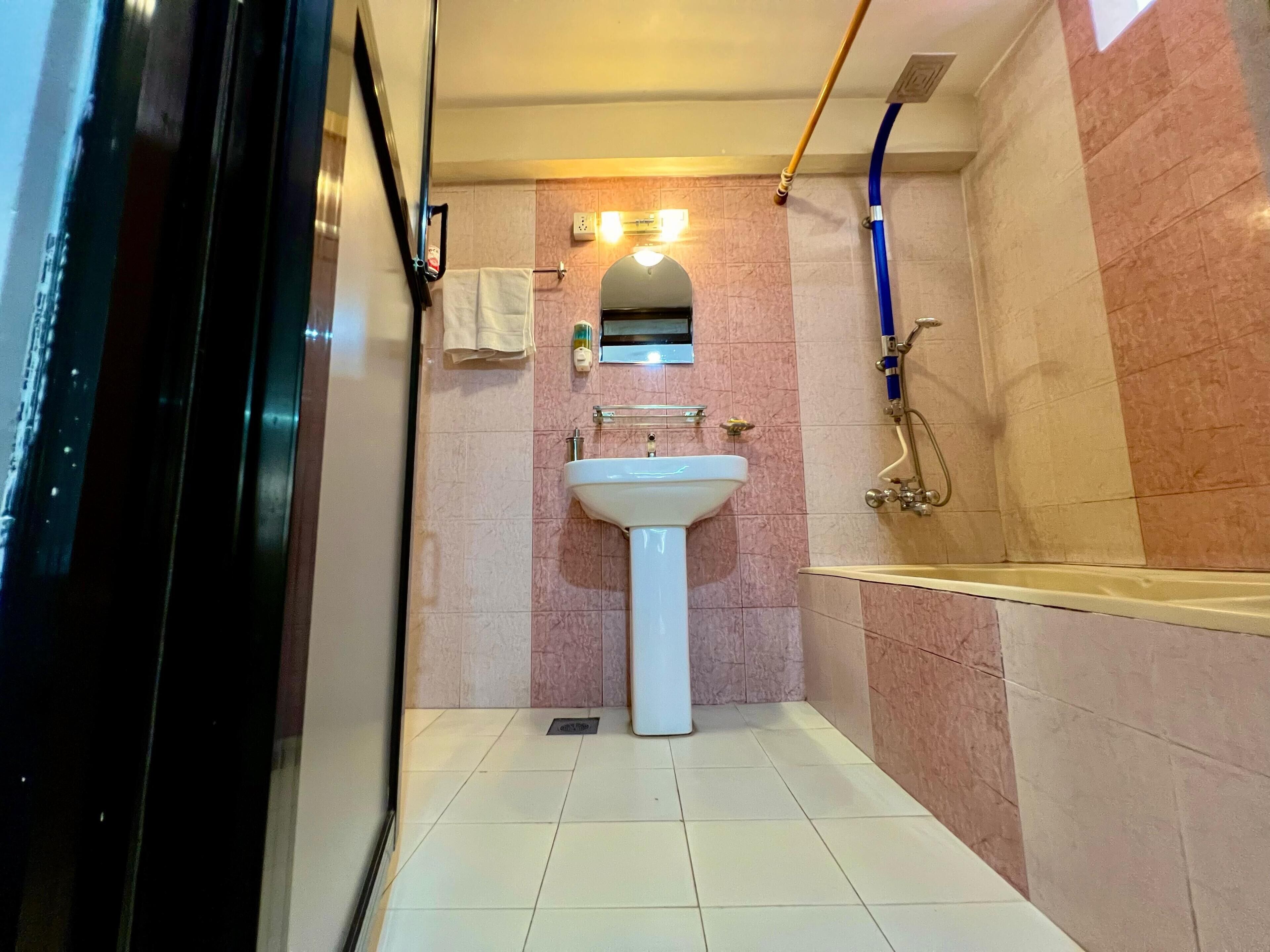 A bathroom with a white sink, a mirror above it, and a shower area with a blue hose.