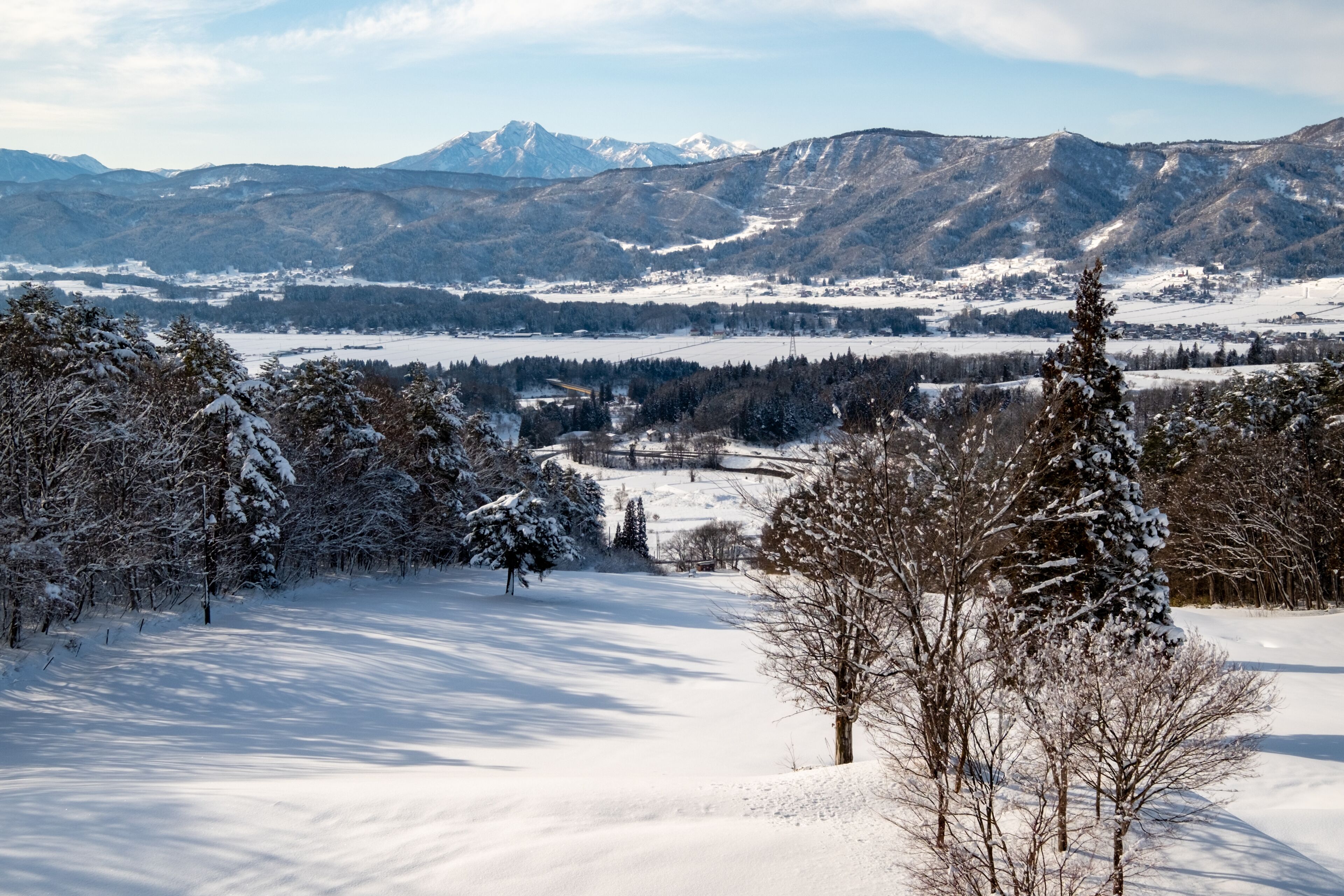 A snowy landscape with mountains in the background, trees, and a clear sky.