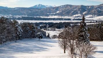 A snowy landscape with mountains in the background, trees, and a clear sky.