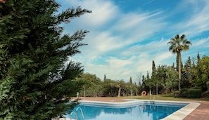 A swimming pool with a clear blue sky, surrounded by lush greenery and palm trees.