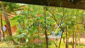 Un jardí amb diverses plantes i arbres, una pèrgola de fusta i una tanca amb dibuixos tallats.