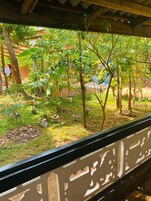 Habitación doble, vistas al jardín | Terraza o patio