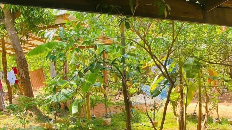 Elephant Safari Lodge