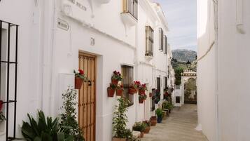 Detalle del exterior