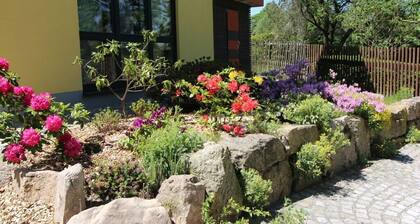 Gutsweg 1 - Appartement 3