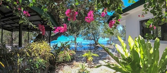 The Three P Beach Resort & Dive Center