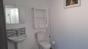 Un bany amb un lavabo, vàter i mirall.