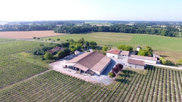 An aerial view of a vineyard with rows of grapevines, a large building with a red roof, and surrounding fields. - Château Pierre de Montignac (Civrac-en-Medoc)