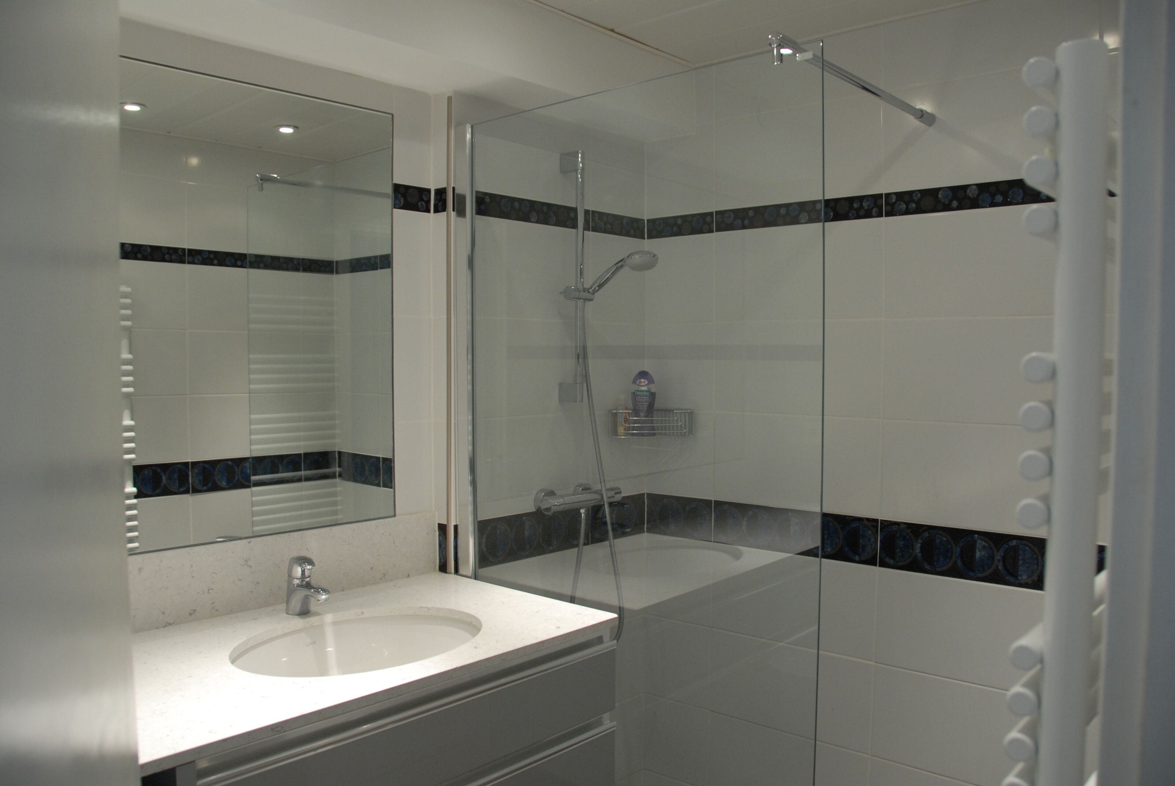 Douche, sèche-cheveux, papier toilette