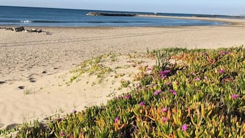 Accommodatie ligt op het strand