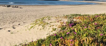 Appartement en Première Ligne vue mer Avec Terrasse Privée Donnant sur le Sable