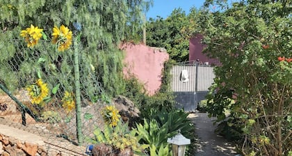 Bela Vista House - Quinta Amoreira