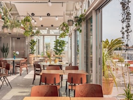 Bar (en el alojamiento)