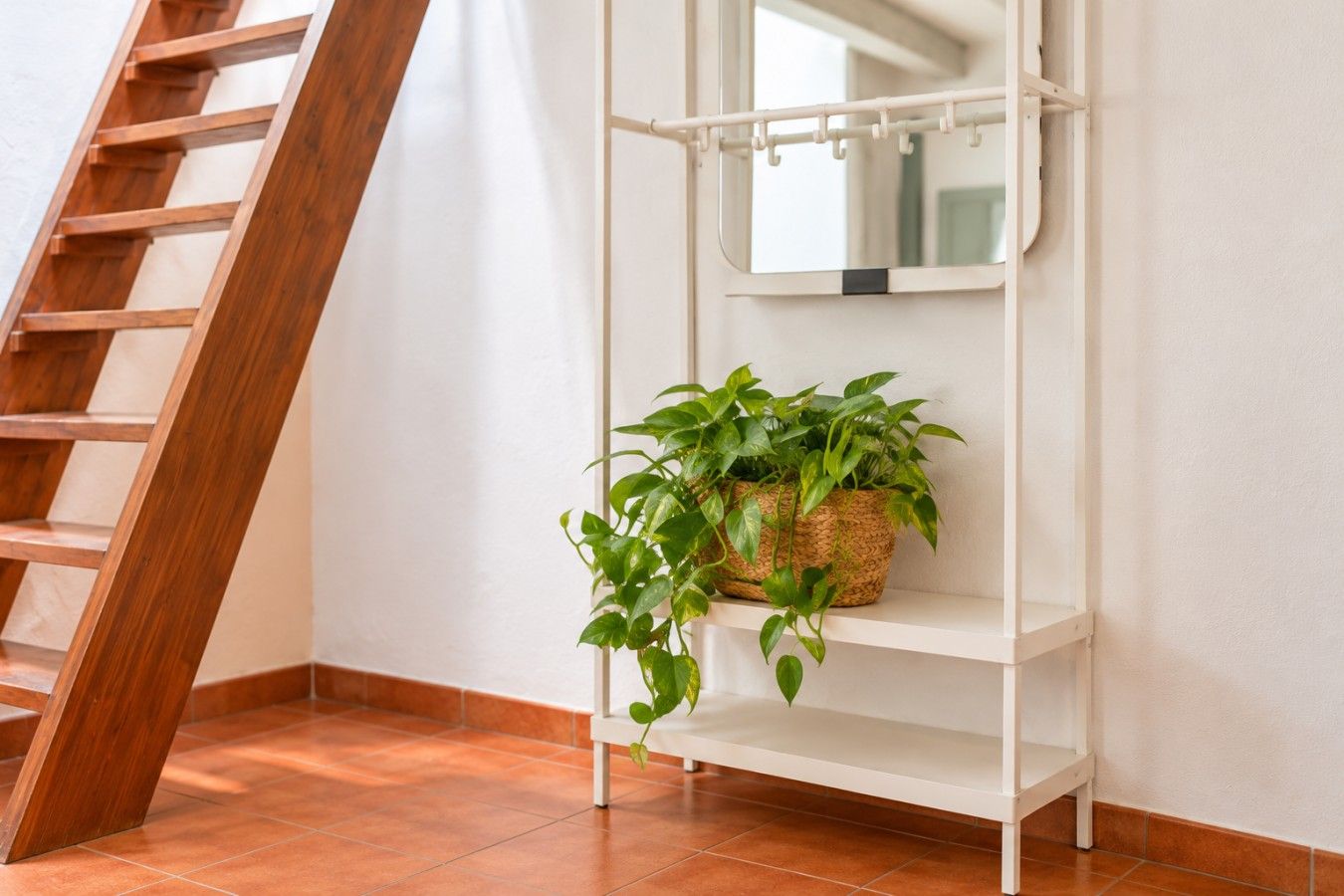 A white shelf with a woven basket containing green plants, a wooden ladder, and a white wall.