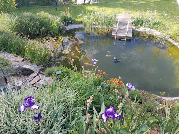 A garden pond with koi fish, surrounded by lush greenery and flowers.
