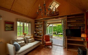 TV, fireplace, books