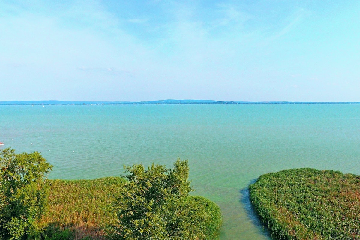 A coastal landscape with a clear view of the sea and a path leading through dense greenery.