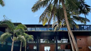 Un bâtiment moderne avec une entrée centrale, entouré de palmiers et bordé d’un chemin pavé.