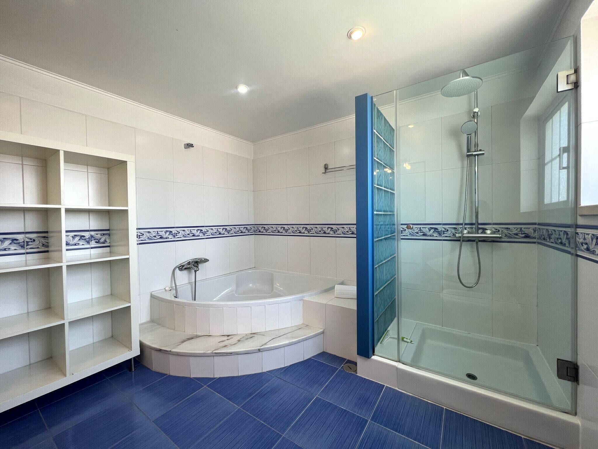 Shower, hair dryer