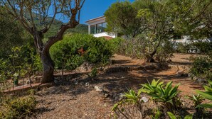 A rustic house surrounded by dense vegetation and a clear blue sky. - Casa D'Aroeira - Serra d'Arrabida (Azeitão)