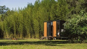 Une cabane aux murs en bois, dotée d’une porte et d’une fenêtre, située dans un champ herbeux, avec des arbres en arrière-plan.
