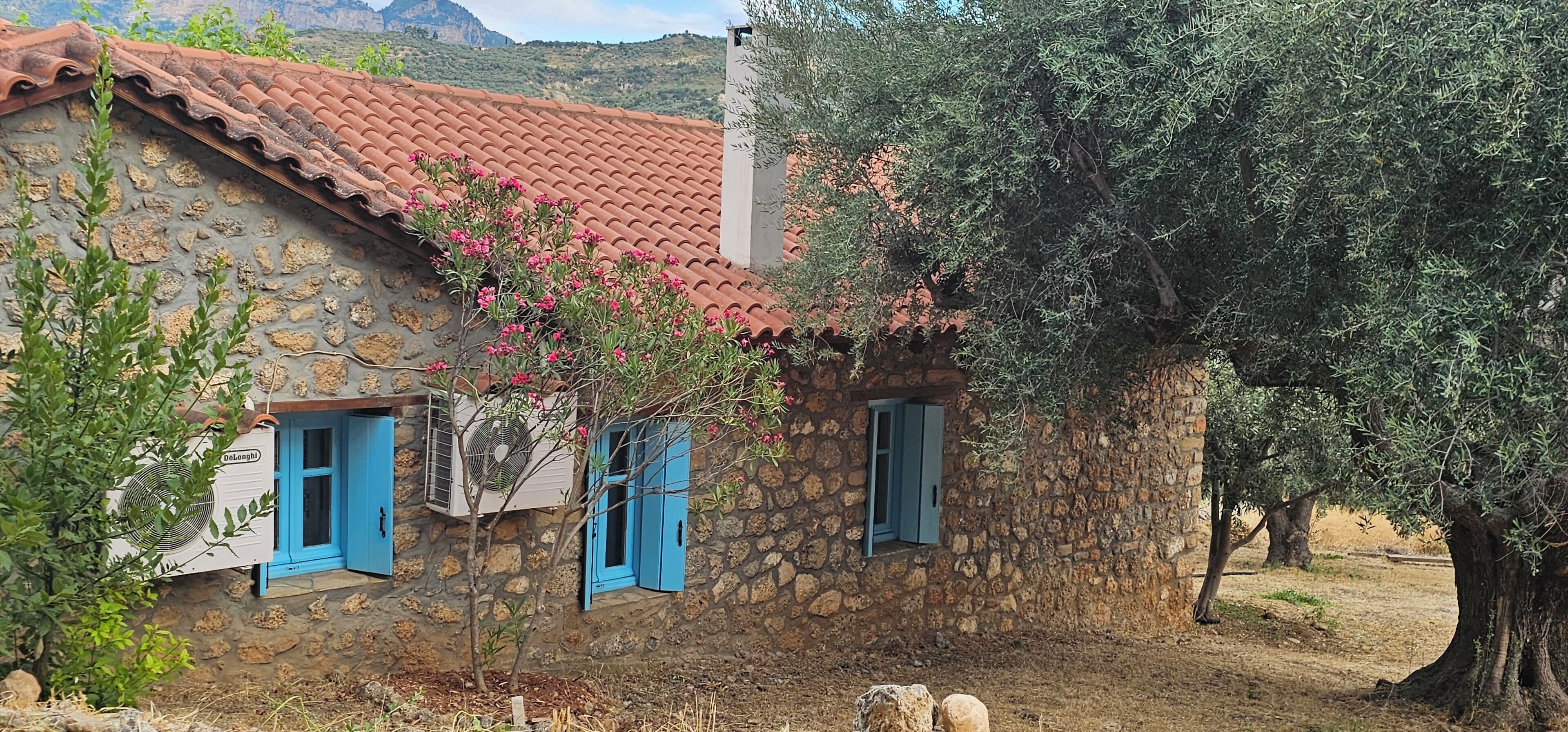Ein Steinhaus mit Ziegeldach, blauen Fensterläden und einem kleinen Baum mit rosa Blüten vor der Fassade.