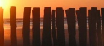 Vacation home on the coast - Zeeuws-Vlaanderen at Holiday Park Scheldeveste Breskens