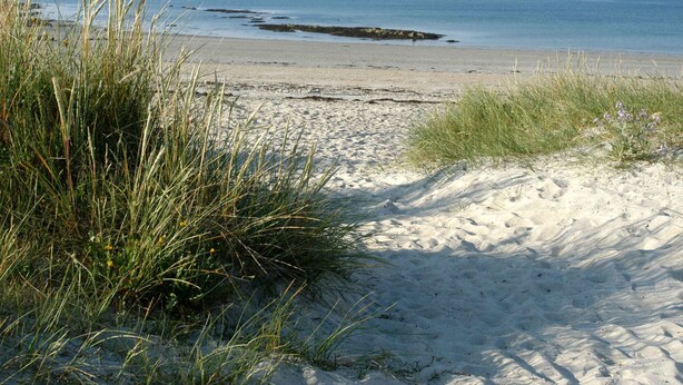 A sandy beach with dunes and seaweed. - KERDERFF - Holiday home for rent, between beach and forest, Carnac - TK30 (Carnac)