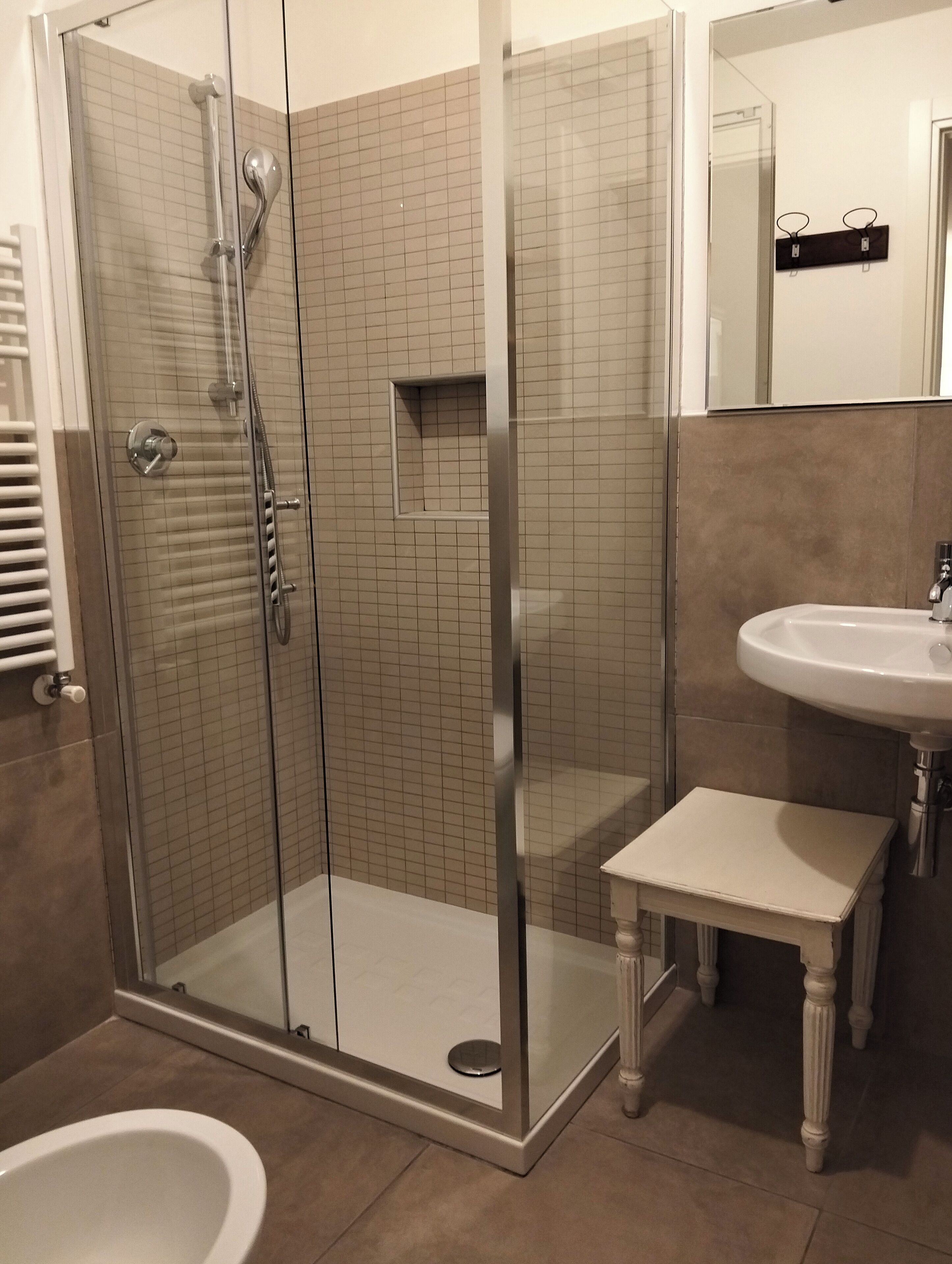 Shower, hair dryer, bidet, towels