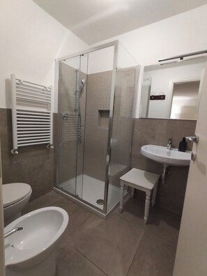 Regadera, secadora de cabello, bidet, toallas 