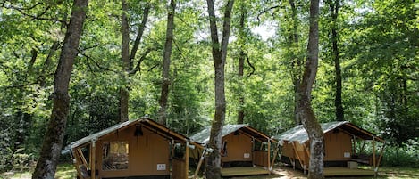 A row of wooden cabins in a forest.