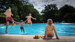 Una piscina con gente saltando al agua.