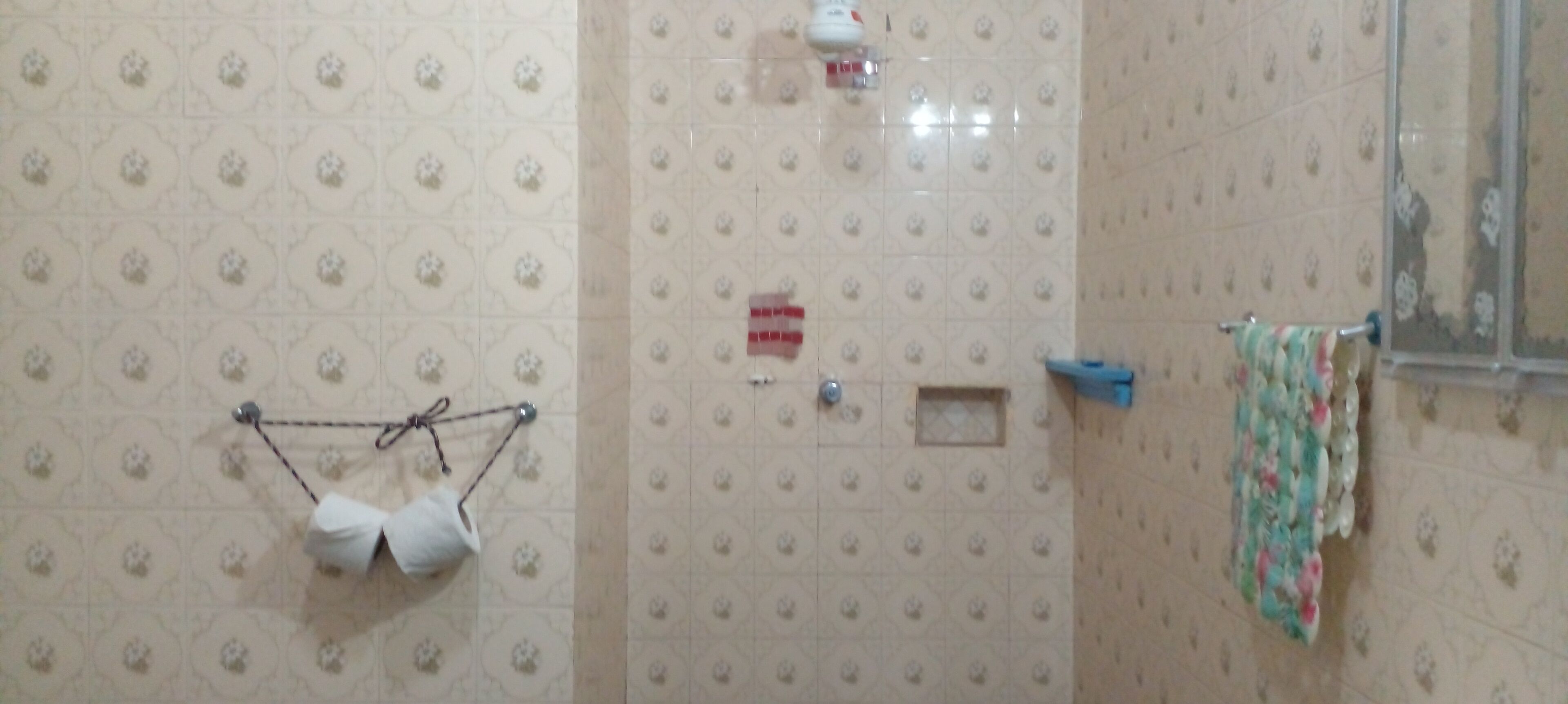 Casa | Banheiro | Chuveiro, secador de cabelo, toalhas de banho 